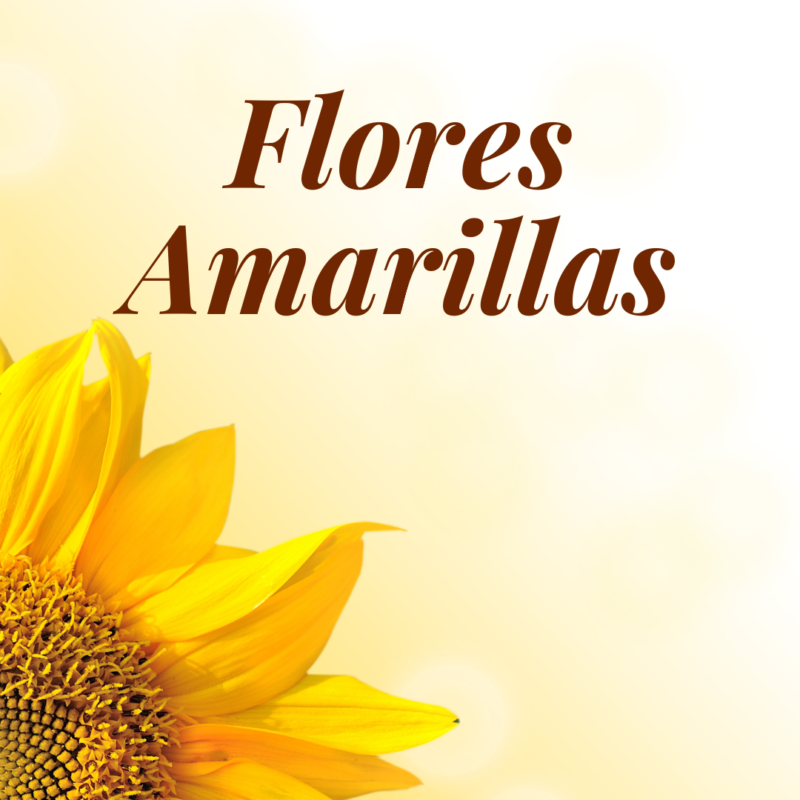 Flores Amarillas